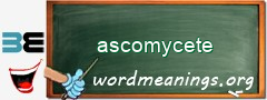 WordMeaning blackboard for ascomycete